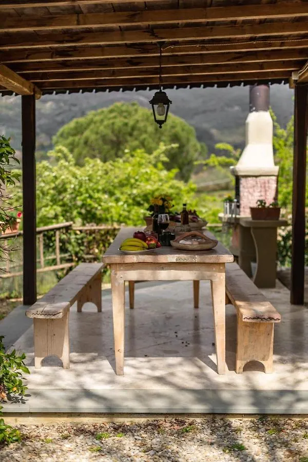 Collina Dei Fiori Villa Castiglion Fiorentino