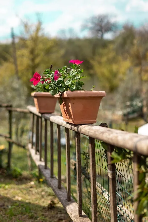 Collina Dei Fiori Villa Castiglion Fiorentino Italy