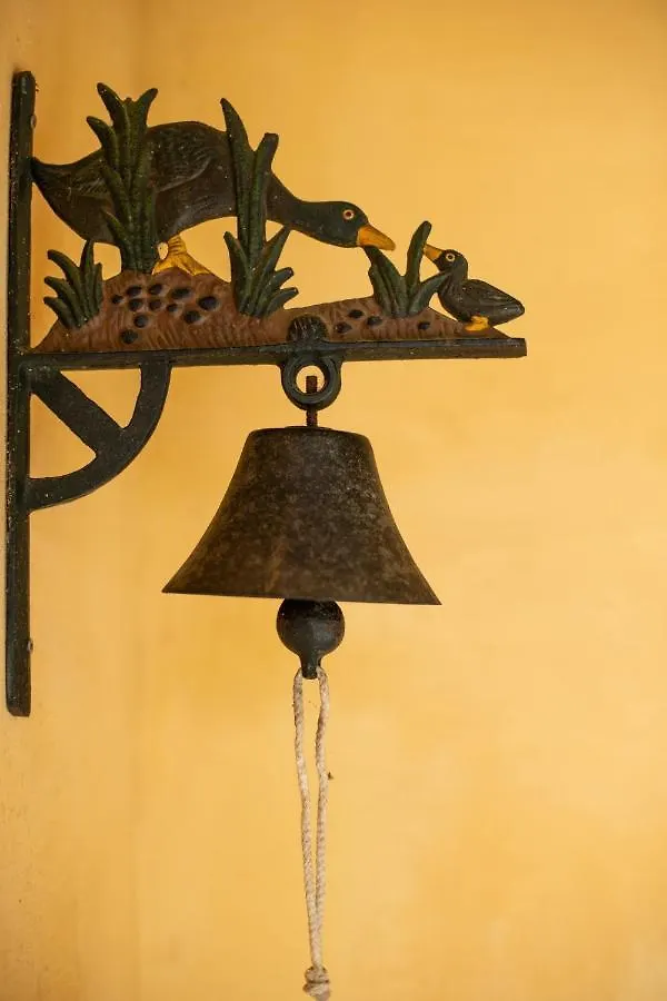 Collina Dei Fiori Villa Castiglion Fiorentino