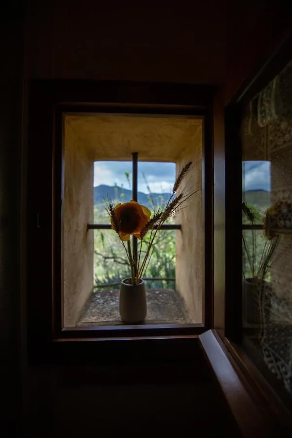 Collina Dei Fiori Villa Castiglion Fiorentino